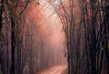 河北华夏幸福坚持防守取胜，士气高昂保持稳定，球员表现逐渐提升