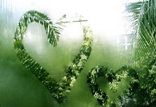 广州恒大客场大胜天津泰达，稳坐积分榜头名