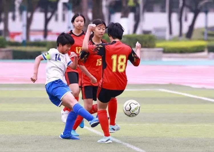 女足比赛现场气氛热烈，精彩纷呈