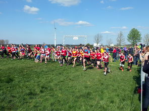 爱游戏体育官网-体育新闻中心参与制定青少年体育内容发布规范，青少年体育刊物